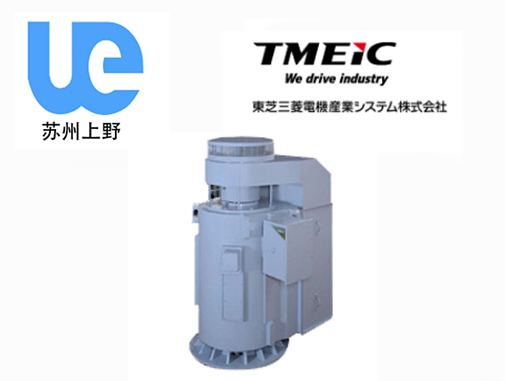 TM21-MⅡ立式中形高压笼形三相感应电机