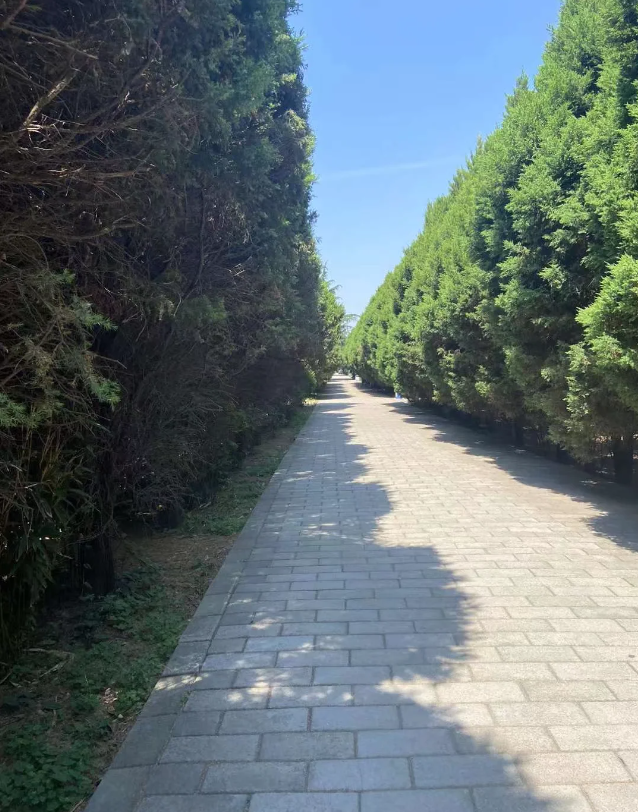 1716870880.png QQ截图20240528090333.png