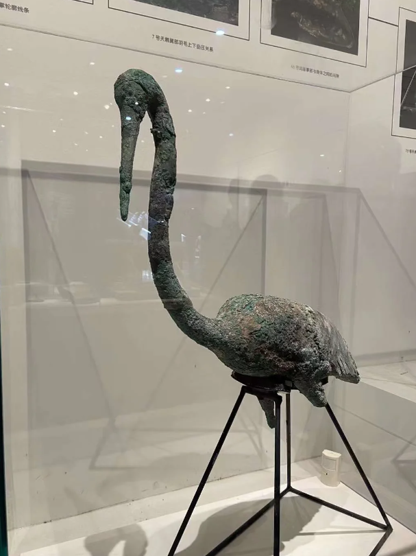 1716870908.png QQ截图20240528090410.png